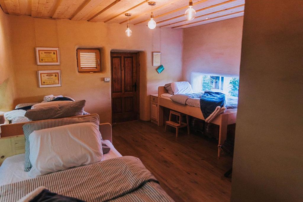 Ferienwohnung Sleeping With Bees - Tourist Farm Muha Grosuplje Exterior foto