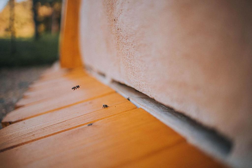 Ferienwohnung Sleeping With Bees - Tourist Farm Muha Grosuplje Exterior foto